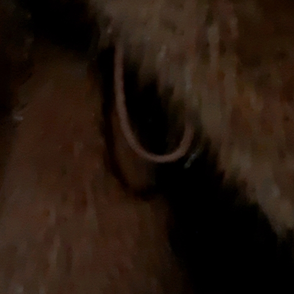 Fashion Furs B. Martins Fur Coat - Picture 4 of 9